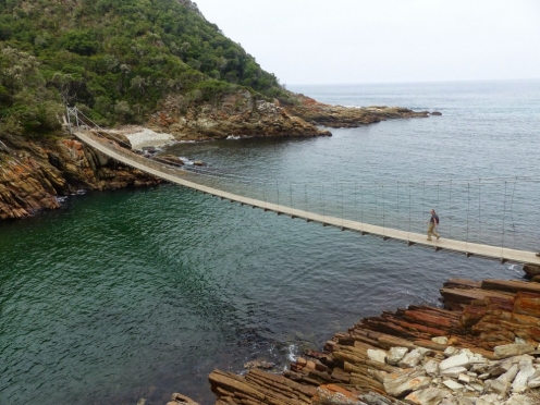 Drive Via Garden Route to Knysna