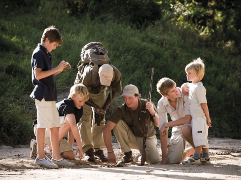 Stay & Game Drives at Kruger National Park