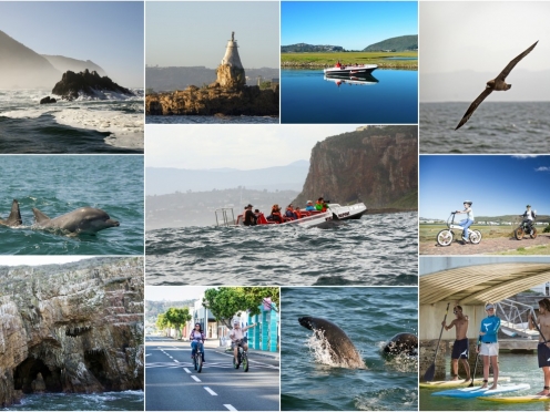 Whale Watching , Dolphins sighting in Knysna