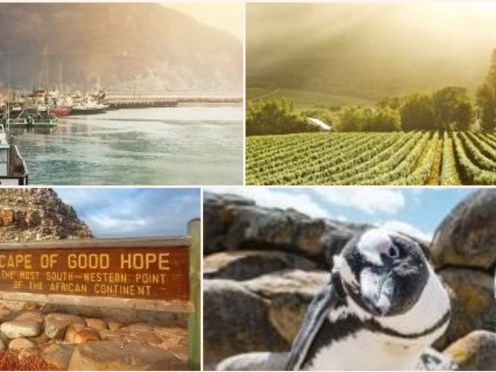 Cape Peninsula Tour with Ostrich farms Vineyards , Simons Town & Penguin Island