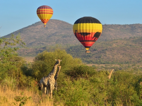 Hot Air Balloon Pilanesberg National Park