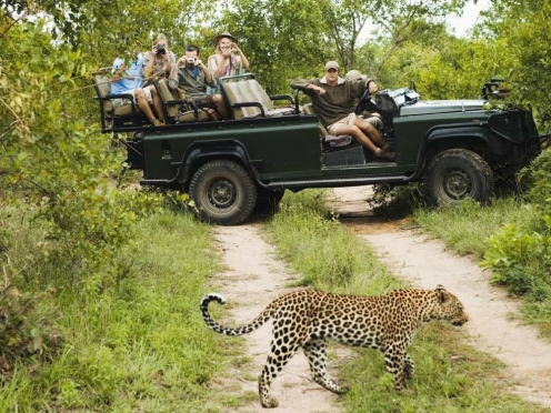 Accommodation & Game Drives