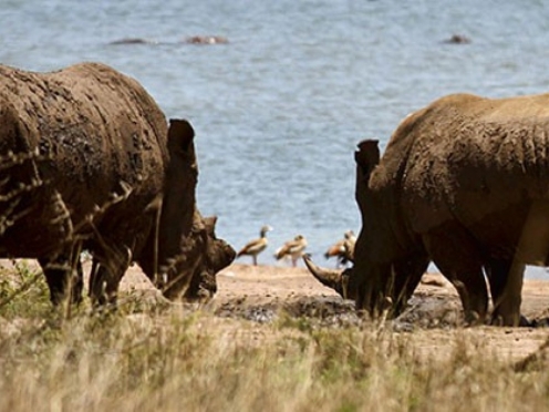 Natal Lion Park & Tala Game Reserve