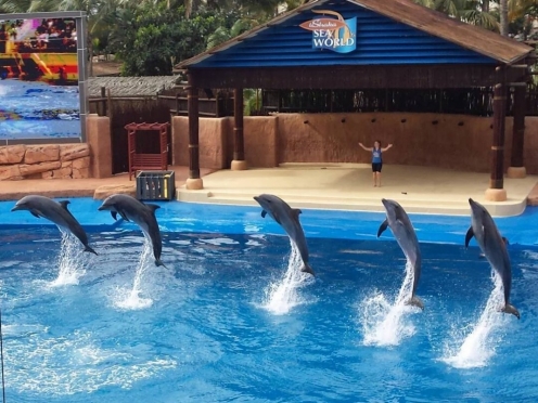 U Shaka Marine World 