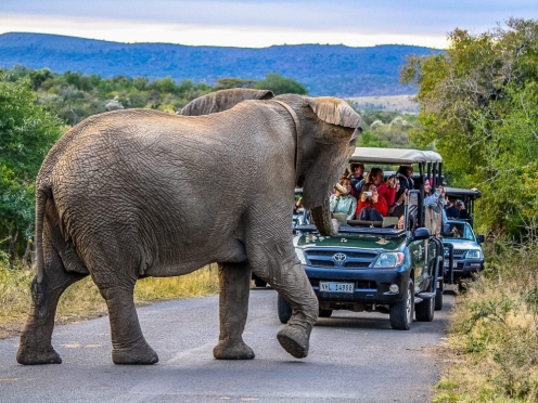 Hluhluwe Game Reserve