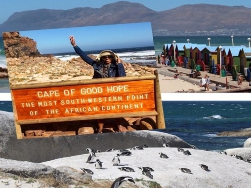 Cape Peninsula Tour with Ostrich farms Vineyards , Simons Town & Penguin Island 