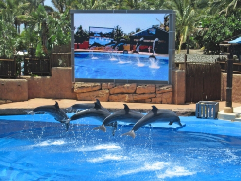 U Shaka Marine World