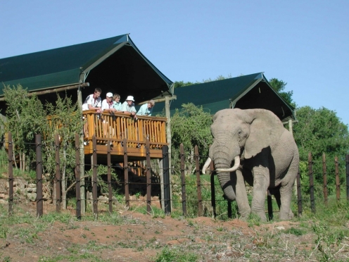 Stay there at Addo Elephant Reserve Park