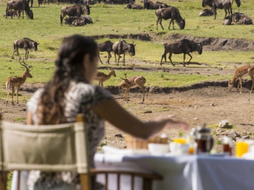 Stay & Game Drive options of Sundowner , Bush Breakfasts