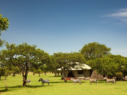 Flight, Transfer to Sabora Plains