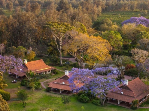 Transfer & Stay at Arusha