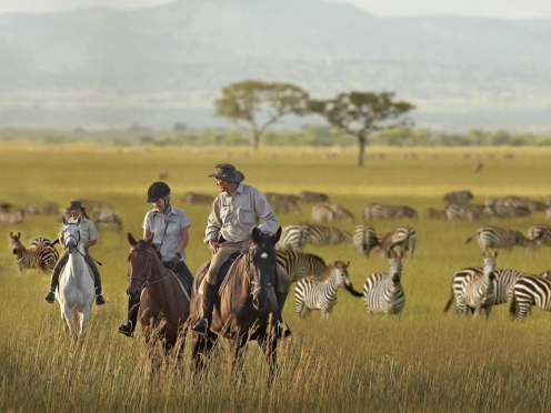 Horseback Safari
