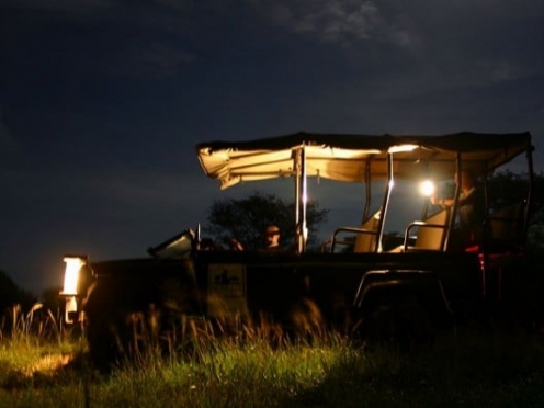 Night Safari