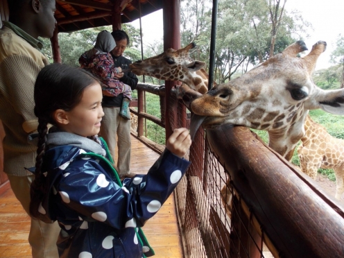 Giraffe Centre