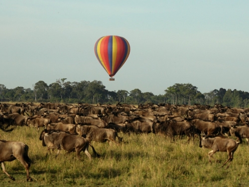 Hot Air Balloon with Bush Breakfast [ breakfast middle of jungle ]