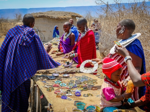 Masai Village Visit & Game Drives .
