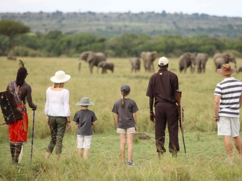 Walking Safari