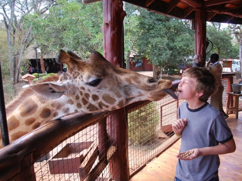 Giraffe Centre