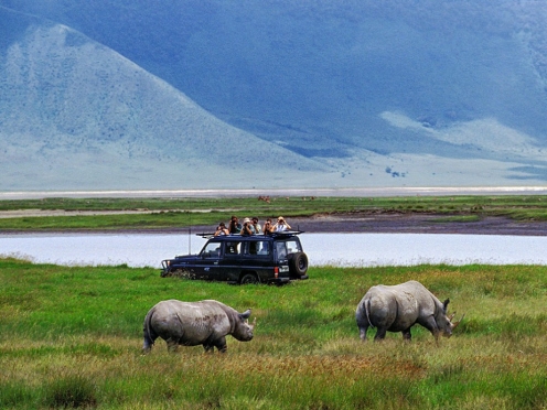 Game Drive & Transfer to Ngorongoro Crater 