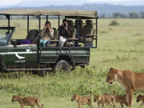 Serengeti Game Drives & Stay