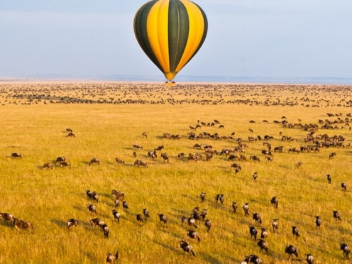 Hot Air Balloon with Bush Breakfast over Masai Mara [ breakfast middle of jungle ]