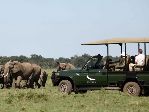 Masai Mara National Reserve Game Drives & Stay