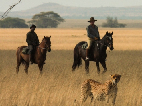 Horseback Safari