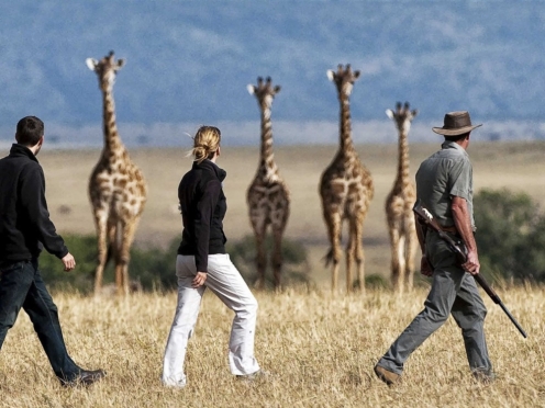 Walking Safari 