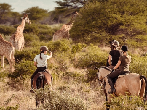 Horseback Safari