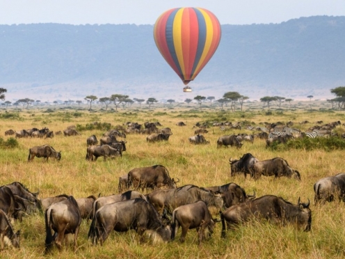 Hot Air Balloon with Bush Breakfast [ breakfast middle of jungle ]