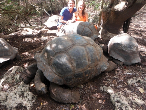 Prison island & giant tortoises