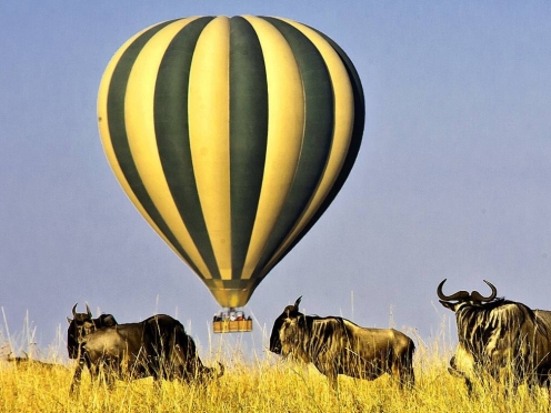 Hot Air Balloon with Bush Breakfast [ breakfast middle of jungle ]