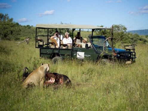 Serengeti Game Drives & Stay