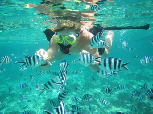 Island hopping , Snorkelling & Mangroves