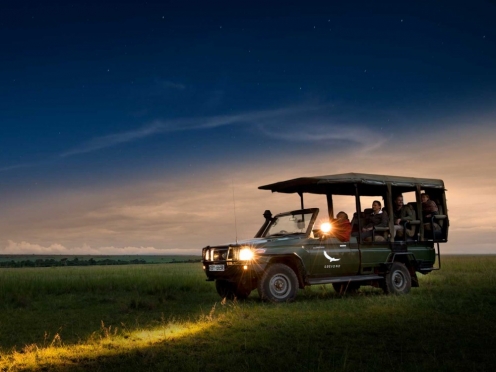 Night Safari