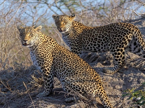 2Day Mikumi National park