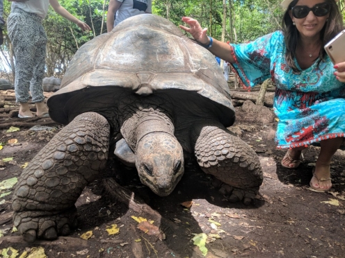 Prison island & giant tortoises