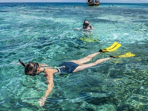 Island hopping , Snorkelling & Mangroves [Safari Blue ]