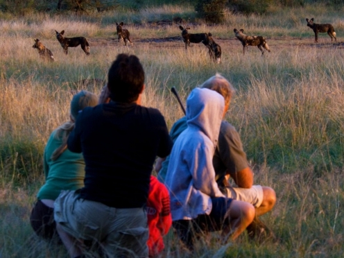 Walking Safari