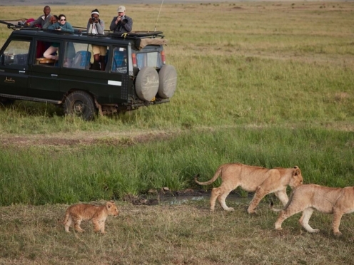 Masai Mara National Reserve Game Drives & Stay