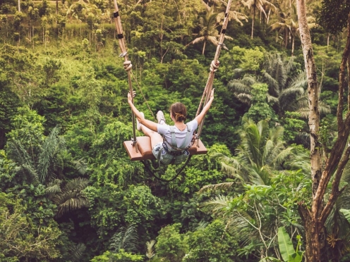 Best of Ubud with Swing in the jungle, Tengaungan waterfalls & Money forest.