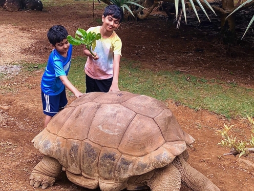 Southern Mauritius with lunch [ Crocodile farms , giant tortoises]