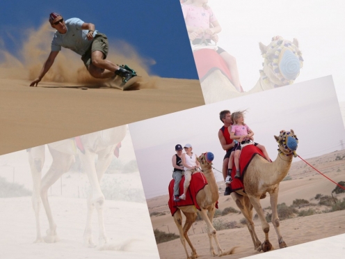 ATV & Camel Ride with Sandboarding