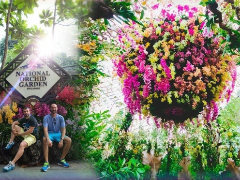 National Orchid Garden