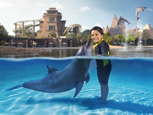 Dolphin Interaction & Swim with Dolphins