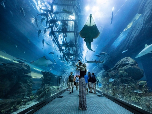 Burj Khalifa Top with Aquarium & Under water zoo