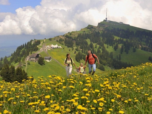 Mount Rigi 