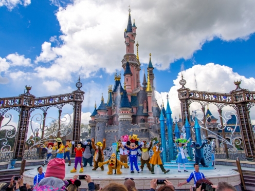 Disneyland with ticket and transfer