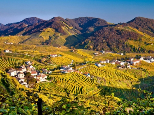 Prosecco day tour from Venice