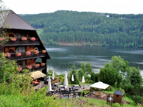 Black Forest & Rhine falls 7 hours trip